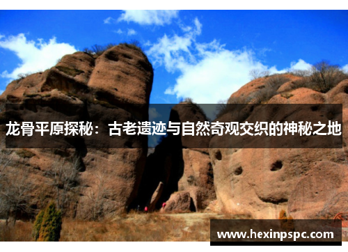 龙骨平原探秘：古老遗迹与自然奇观交织的神秘之地