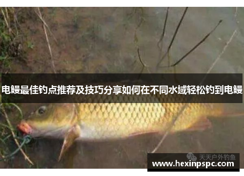 电鳗最佳钓点推荐及技巧分享如何在不同水域轻松钓到电鳗